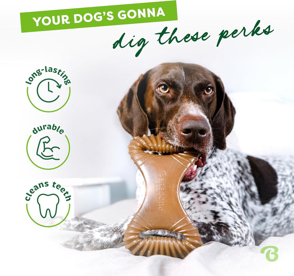 Aggressive Chewers: Unbreakable Dental Dog Bone with Real USA Bacon