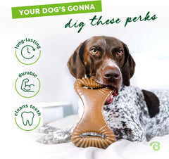 Aggressive Chewers: Unbreakable Dental Dog Bone with Real USA Bacon