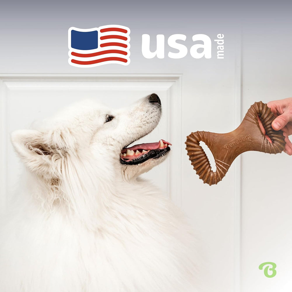 Aggressive Chewers: Unbreakable Dental Dog Bone with Real USA Bacon