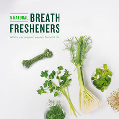 Get Fresh Breath: 40-Count Minties Dental Bone Treats for Dogs Under 40 lbs | Vet Recommended