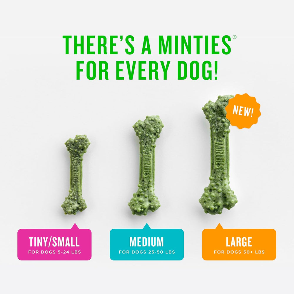 Get Fresh Breath: 40-Count Minties Dental Bone Treats for Dogs Under 40 lbs | Vet Recommended