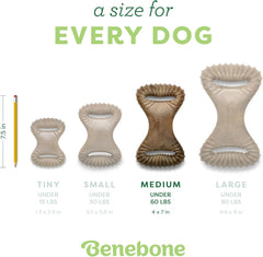 Aggressive Chewers: Unbreakable Dental Dog Bone with Real USA Bacon