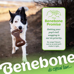 Aggressive Chewers: Unbreakable Dental Dog Bone with Real USA Bacon